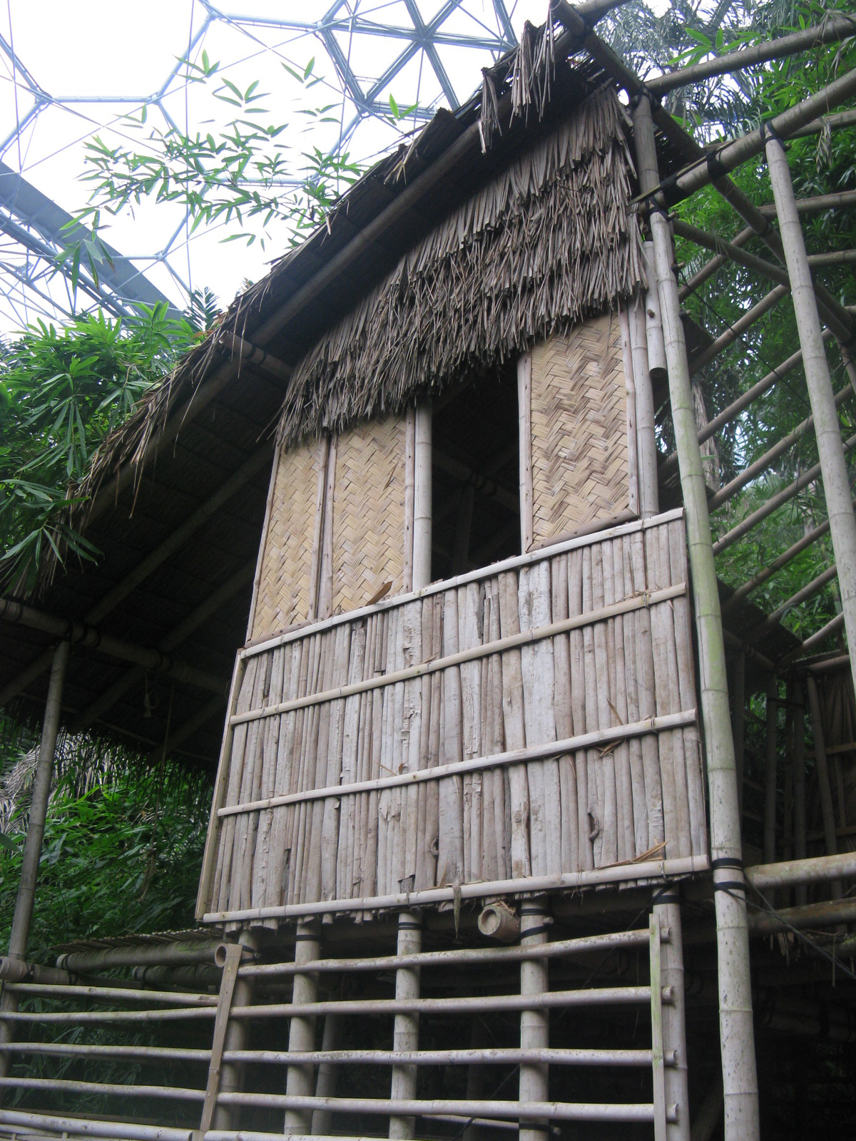 House in the jungle