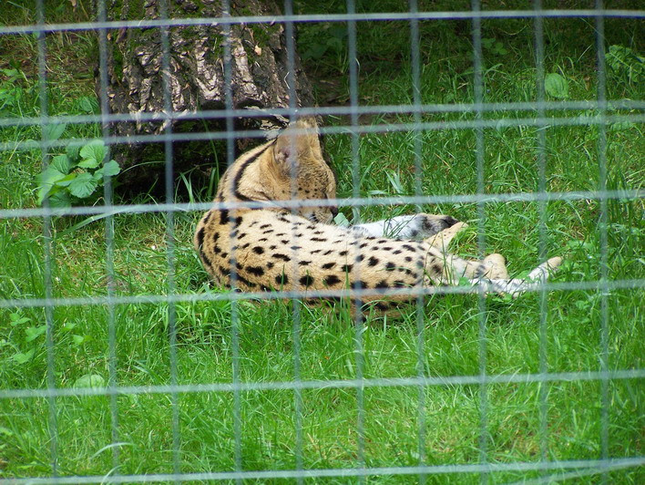 VESZPRÉM MÁSODIK NAP 056 resize