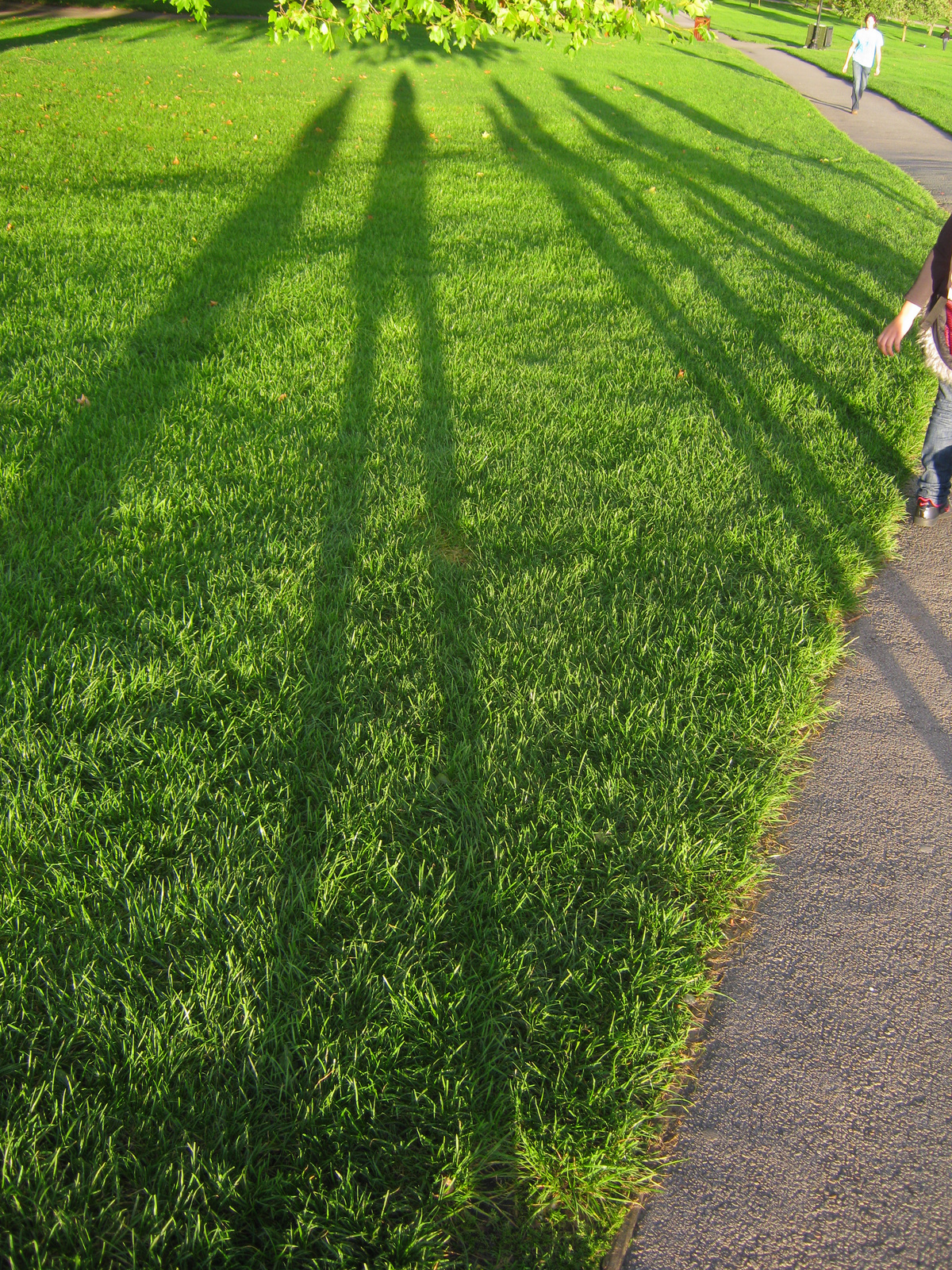 20101006 dayoff Primrose hill (12)