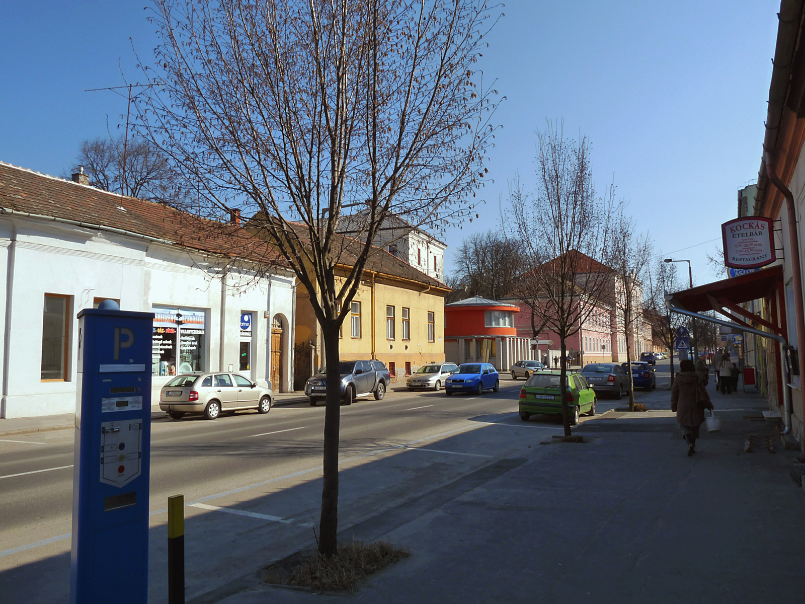 20100306 Kaposvár2