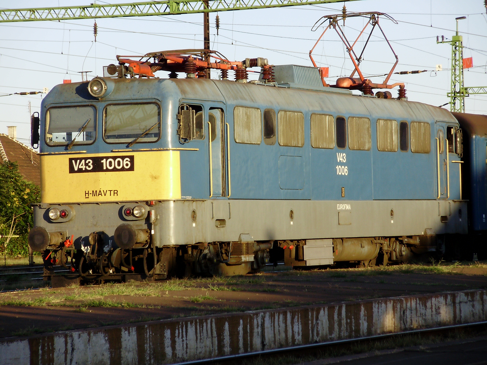 V43-1006