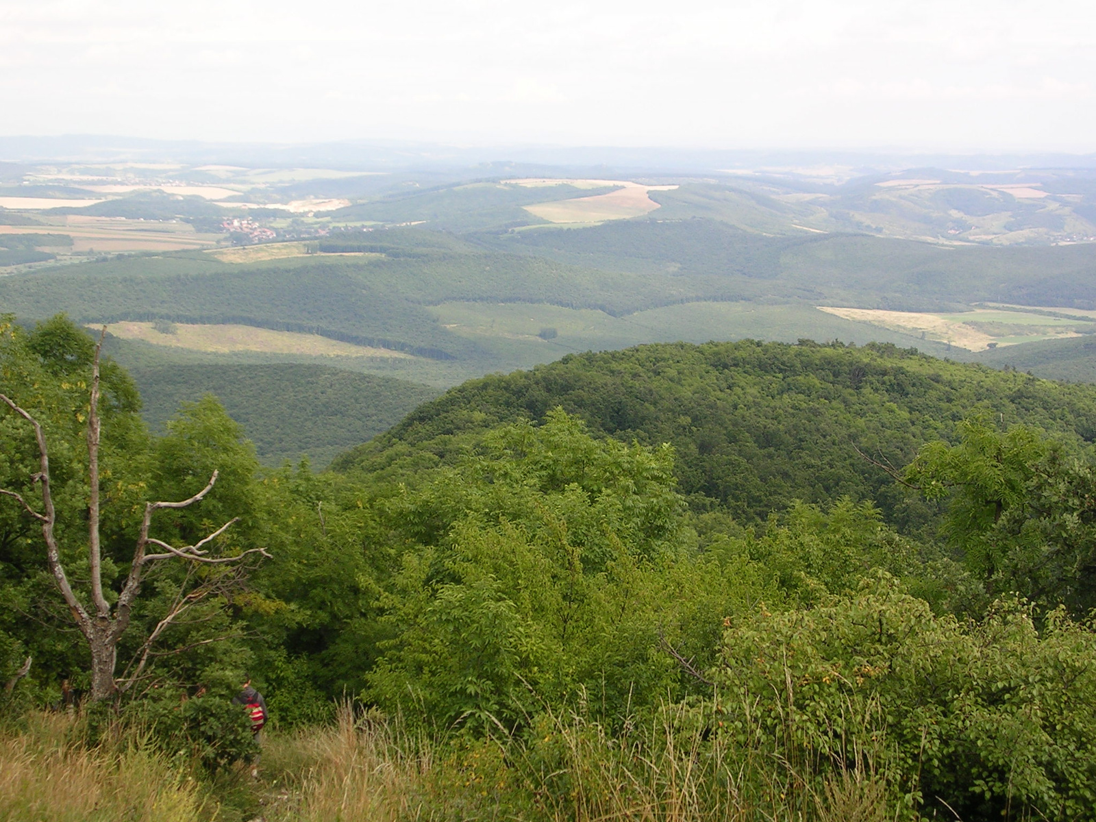 Vándortábor-2008-Cserhát 054