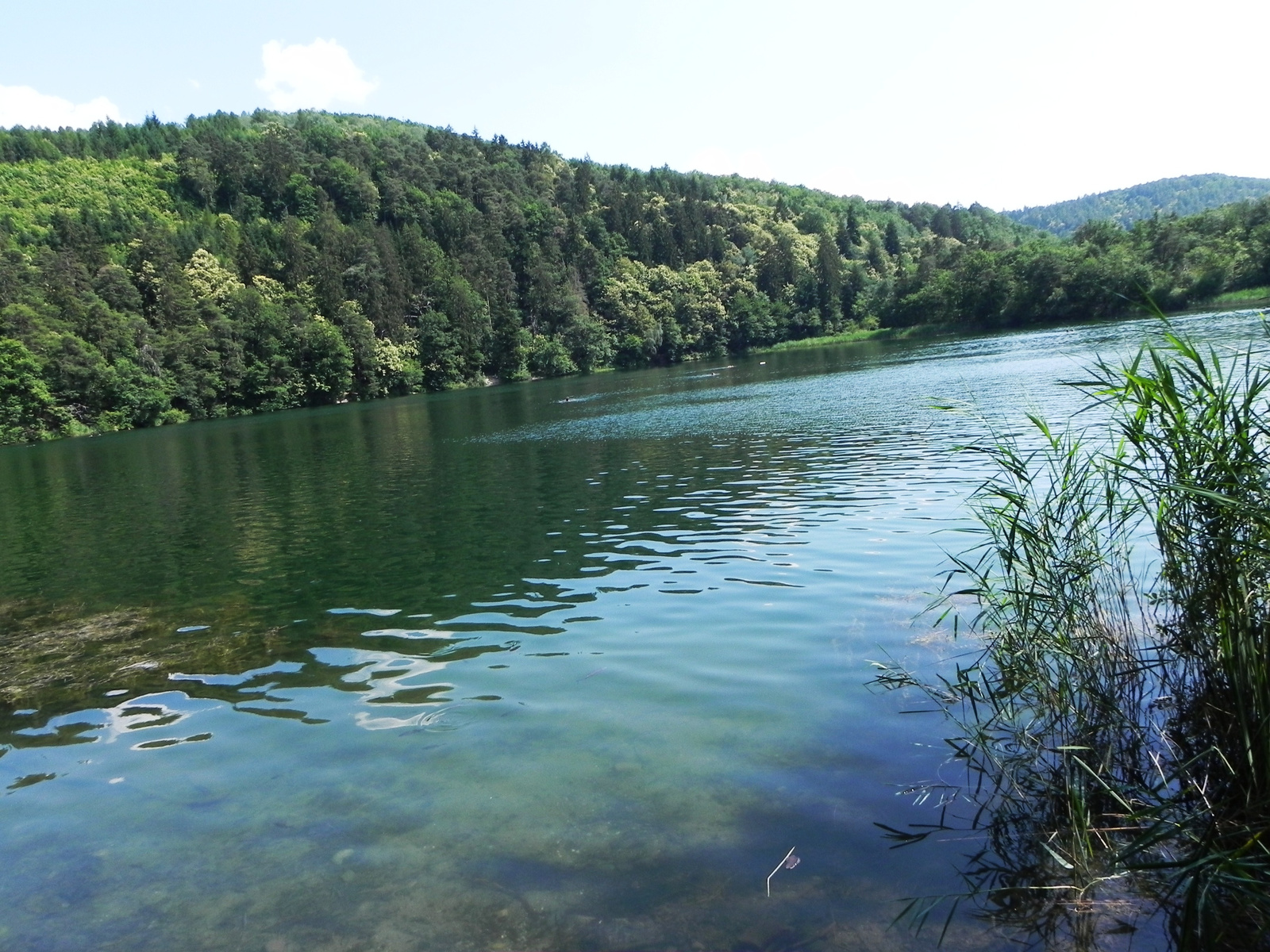 Schalstal,Ritten,Montiglersee,Meran 086