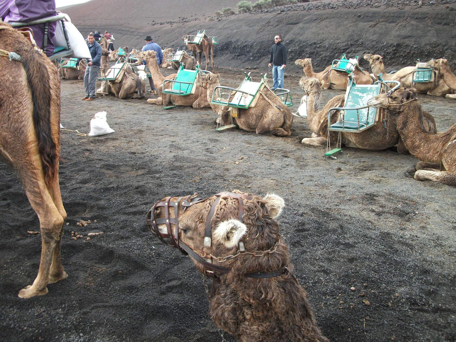 Timanfaya tevegelés