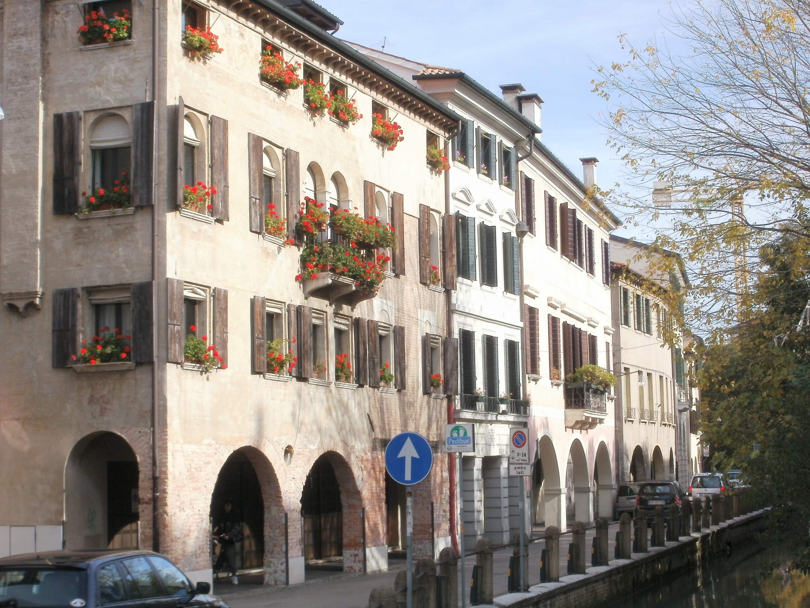 Treviso