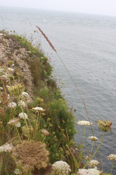 Old Harry-Swanage-30