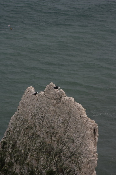 Old Harry-Swanage-76