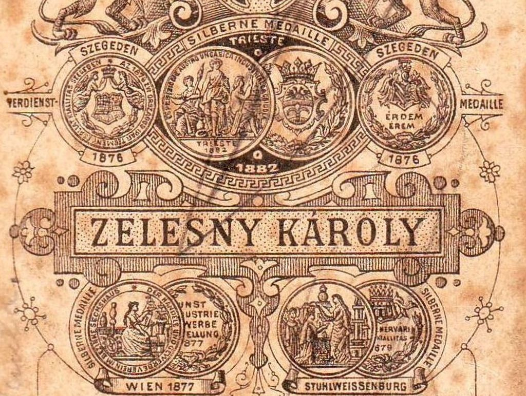 Zelesny Károly, Pécsett