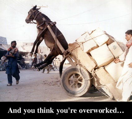 overworked