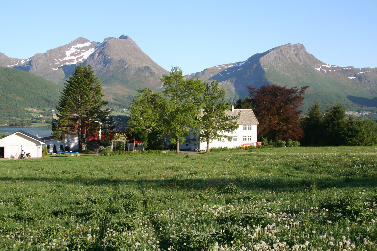 2007 Molde 24