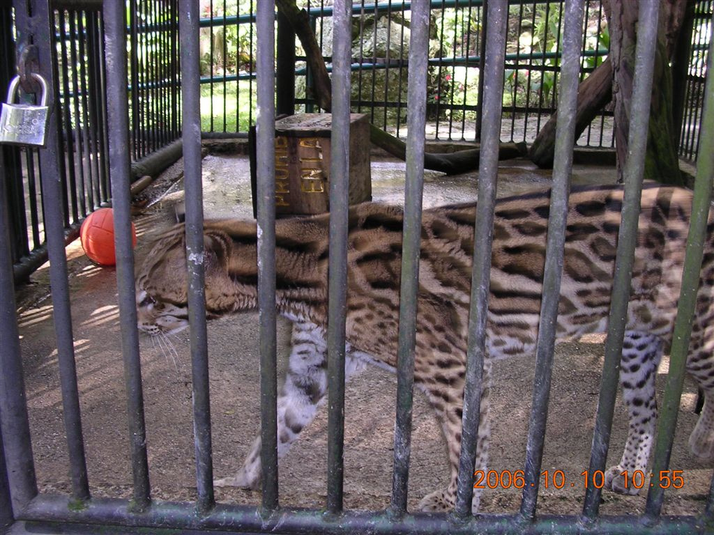 098 Mérida - Parque Zoológico Chorros de Milla