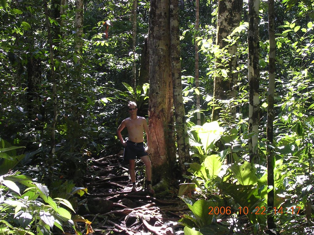 360 Angel Falls felé