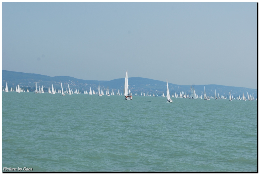 rafficasponzibalatonkékszalaggaca201100389