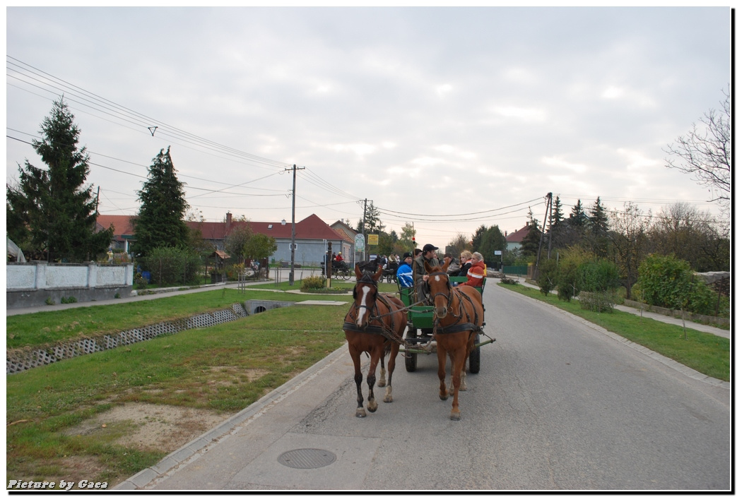 vadaszlovigaca201000051