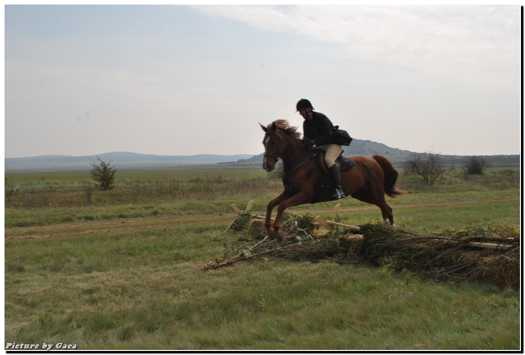 vadaszlovigaca201000106