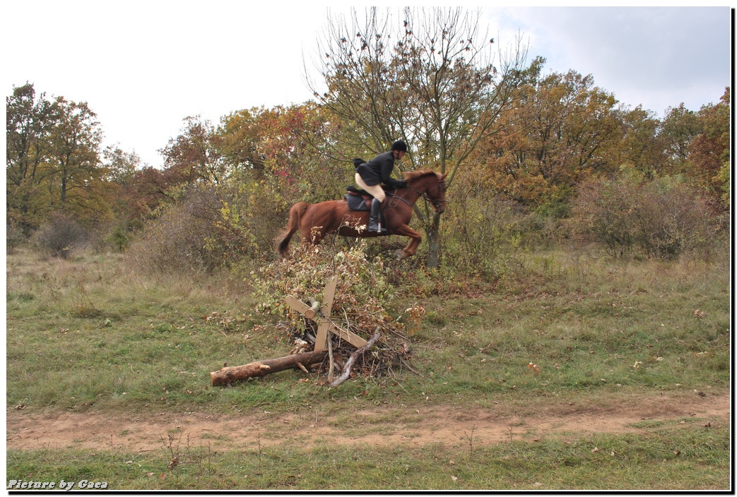 vadaszlovigaca201000134