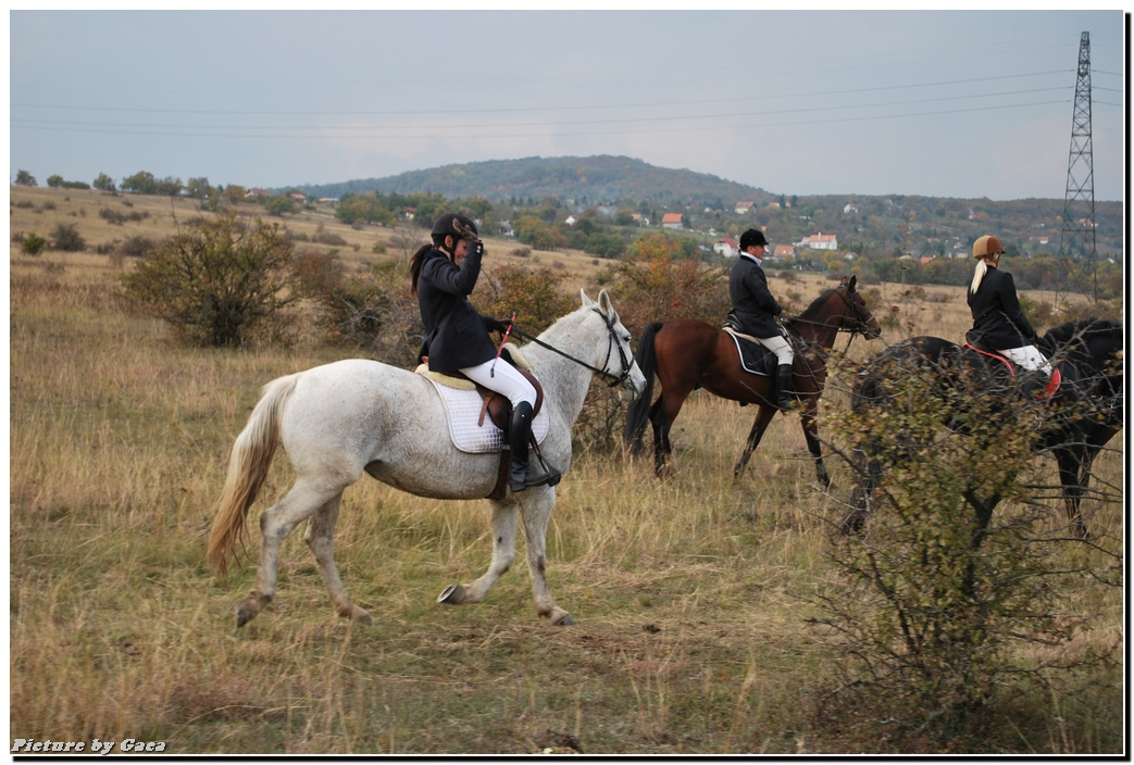 vadaszlovigaca201000177