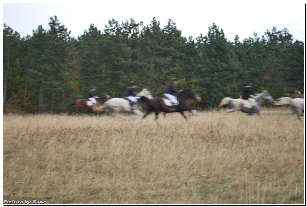 vadaszlovigaca201000205