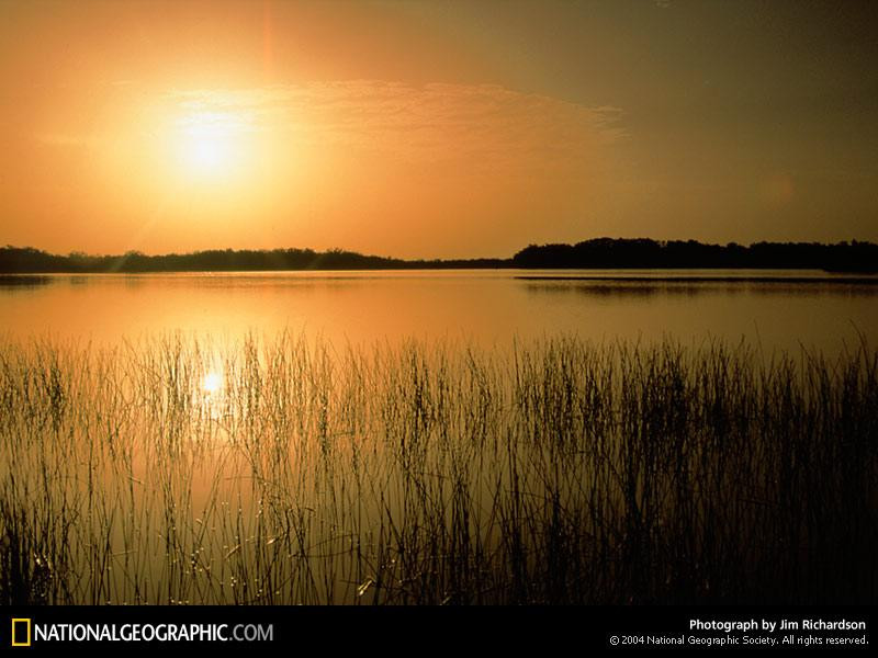 everglades-national-park-92983-sw (Medium)