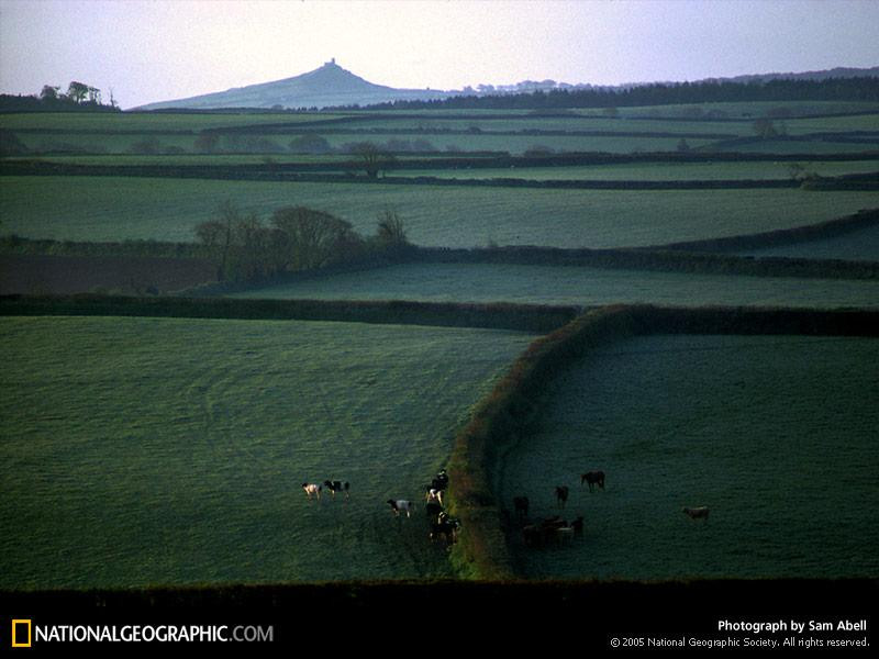 hedgerow-landscape-483570-sw (Medium)