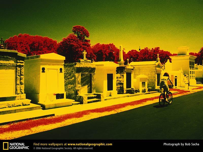 infrared-cemetery-657504-sw (Medium)