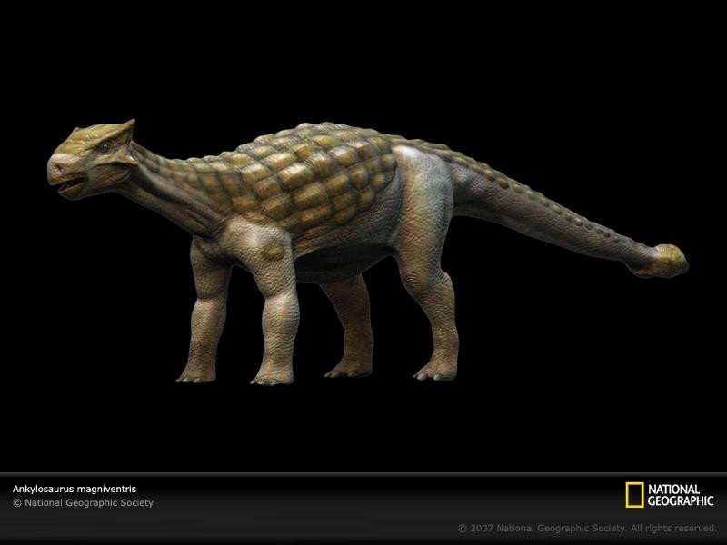 ankylosaurus-sw (Medium)