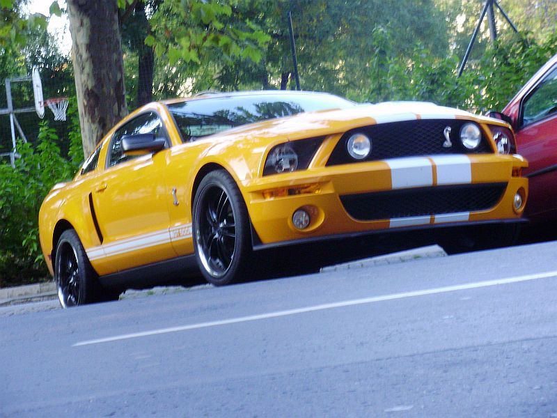 Shelby GT500