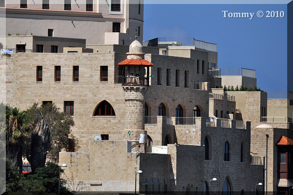 Yaffo (6)