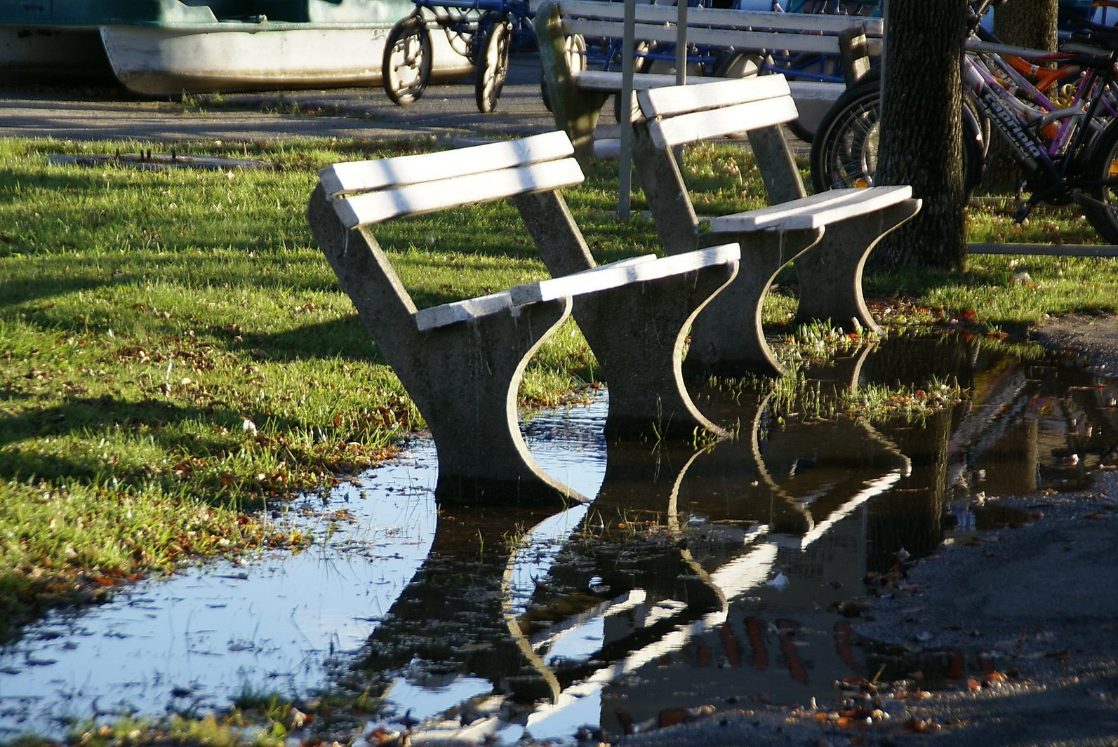 Park ősszel.