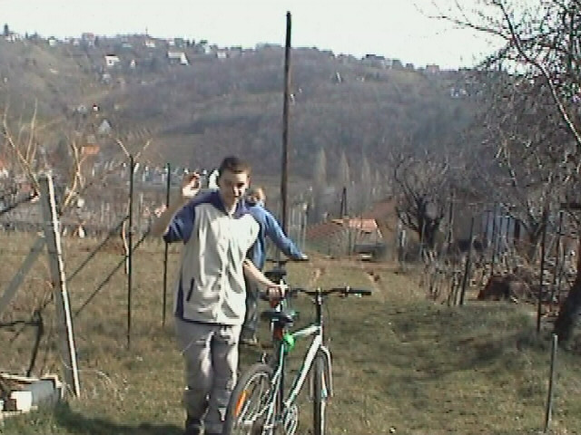 Dávid