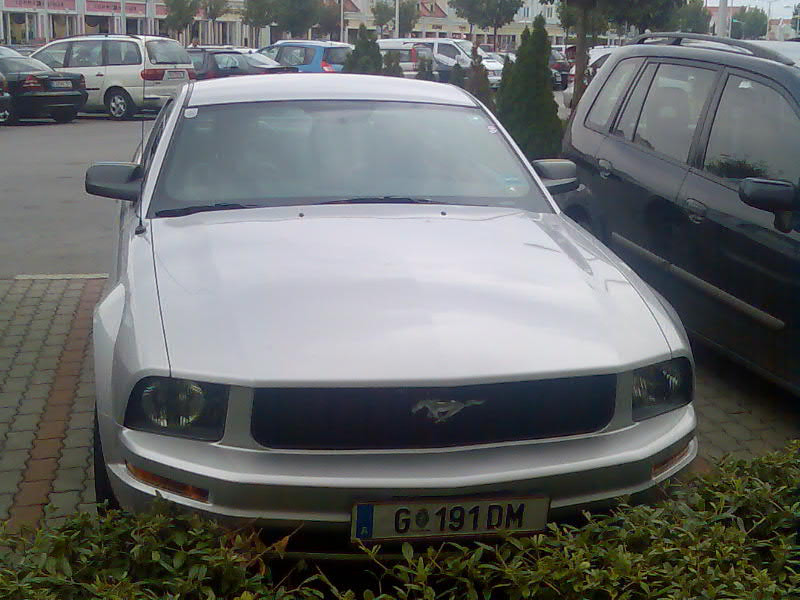 Mustang, Bécsben