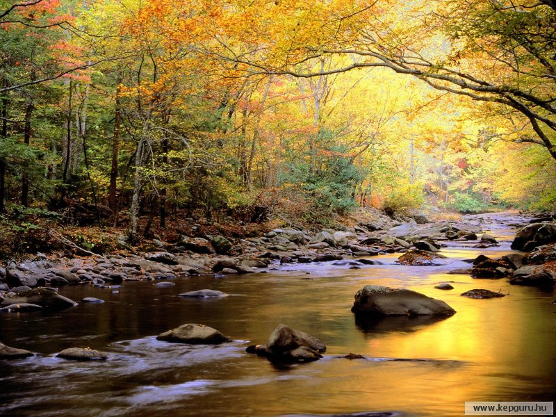 Great Smoky Mountains Nemzeti Park-Tennessee-USA