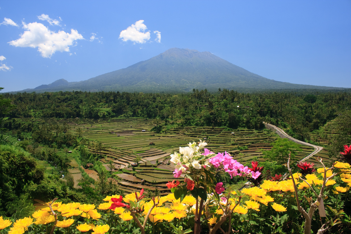 Bali 2008 075