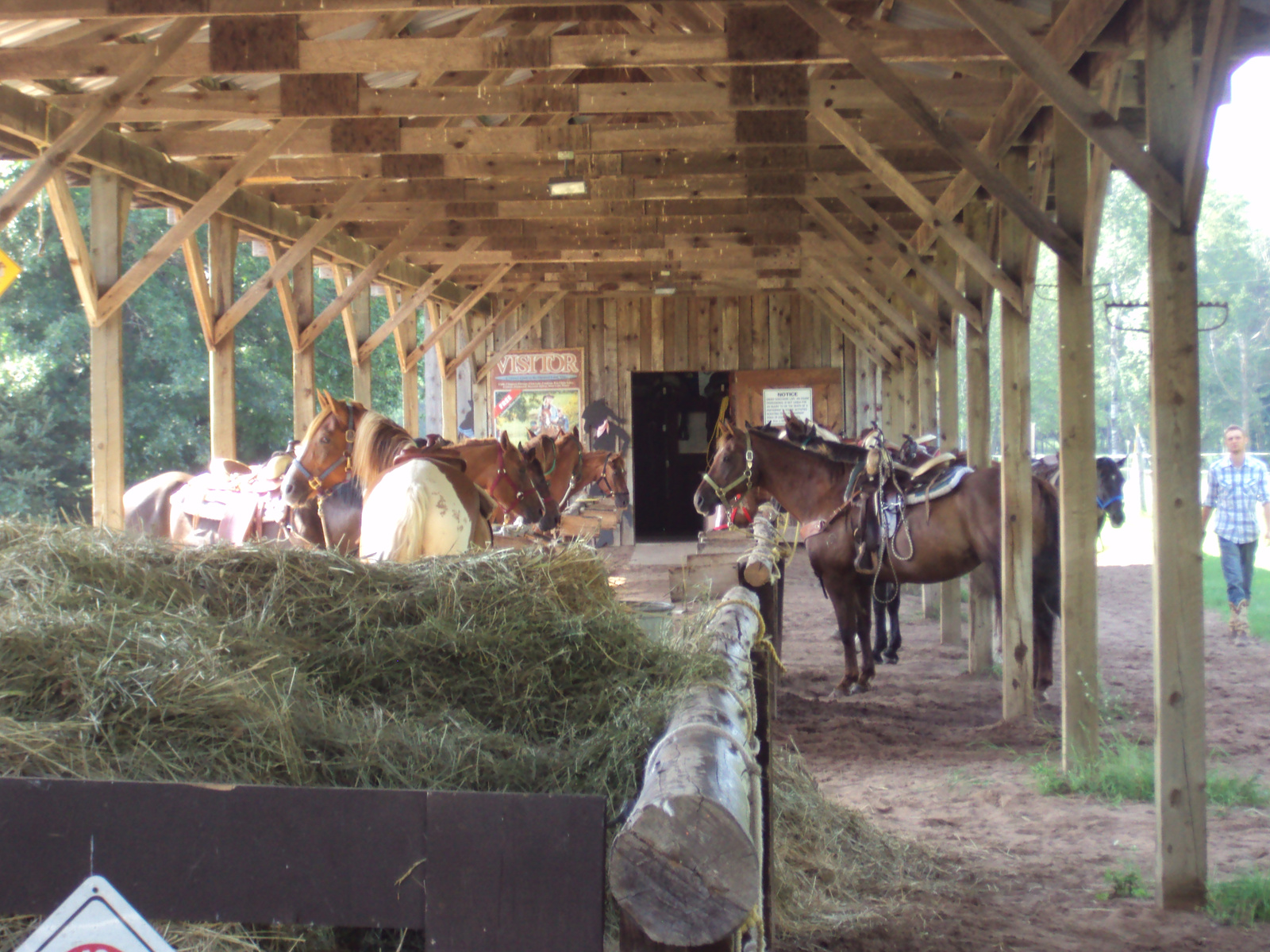 horseback riding (1)