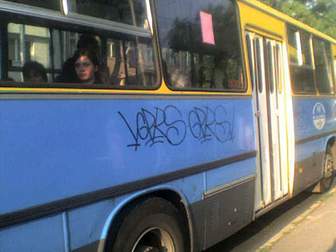 buszfirka