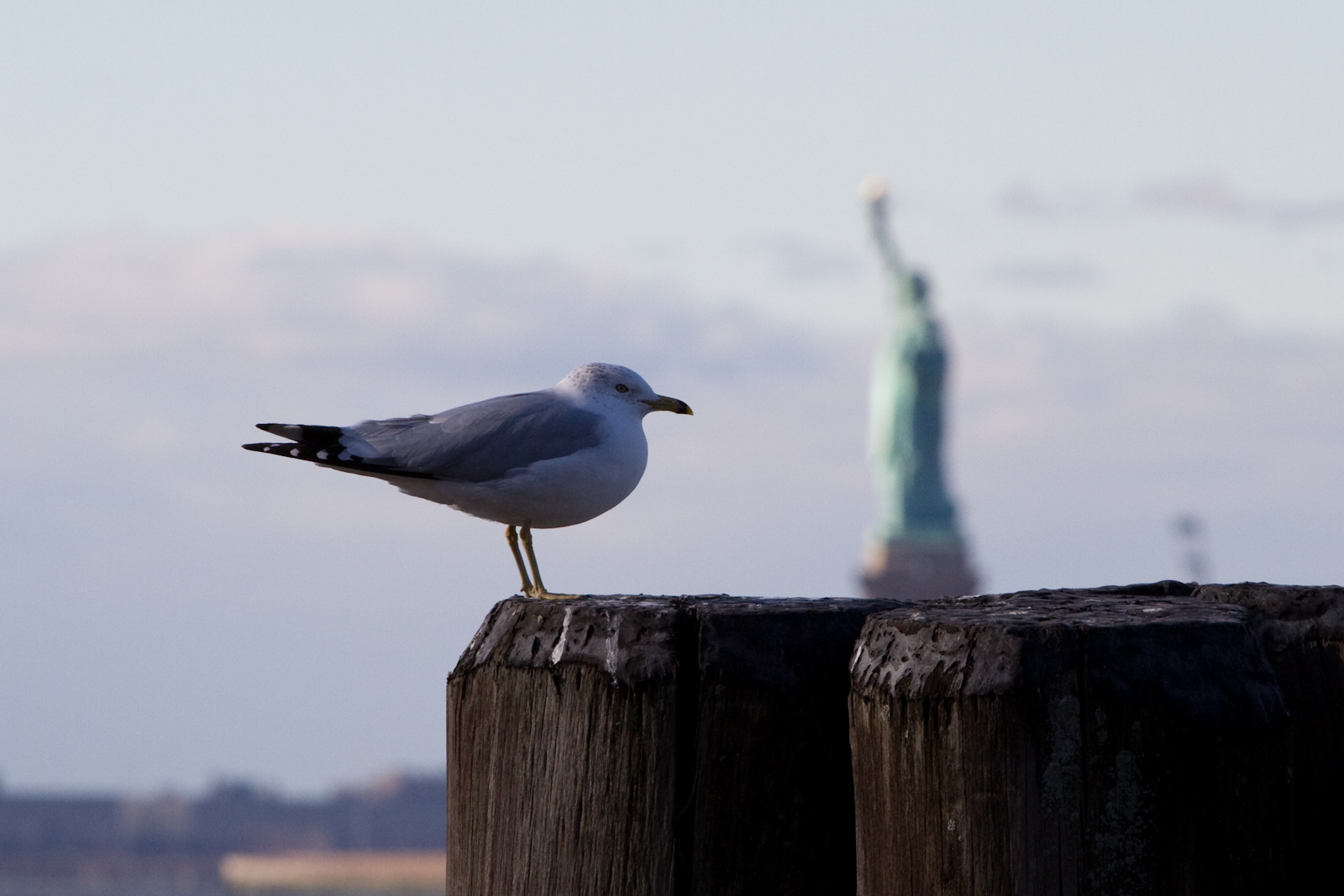 battery park