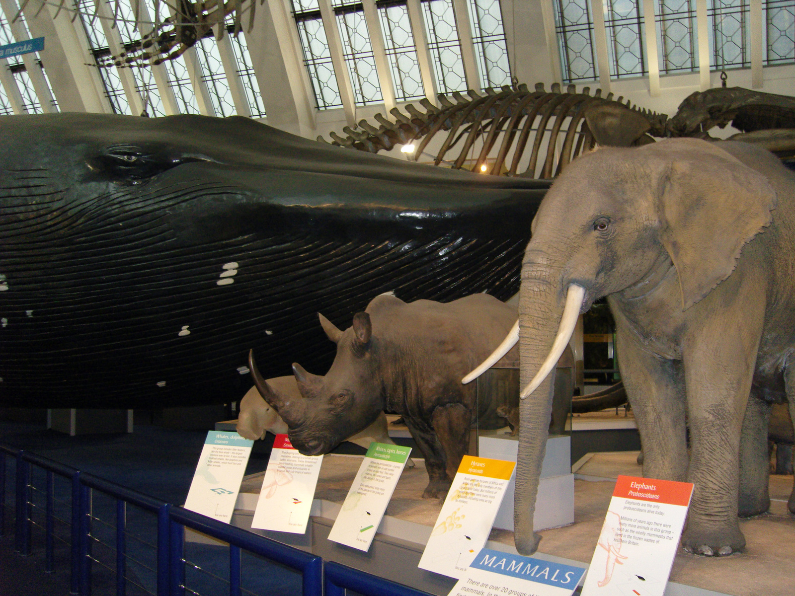 Natural History Museum