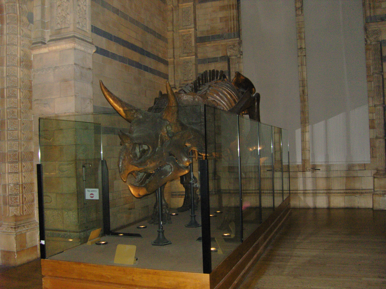 Natural History Museum