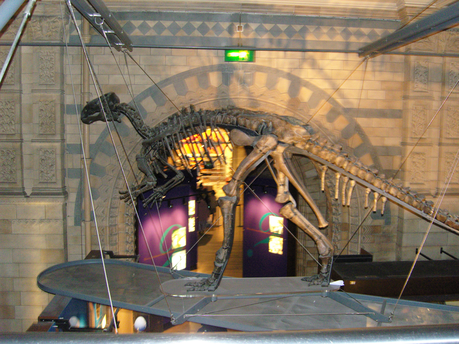 Natural History Museum