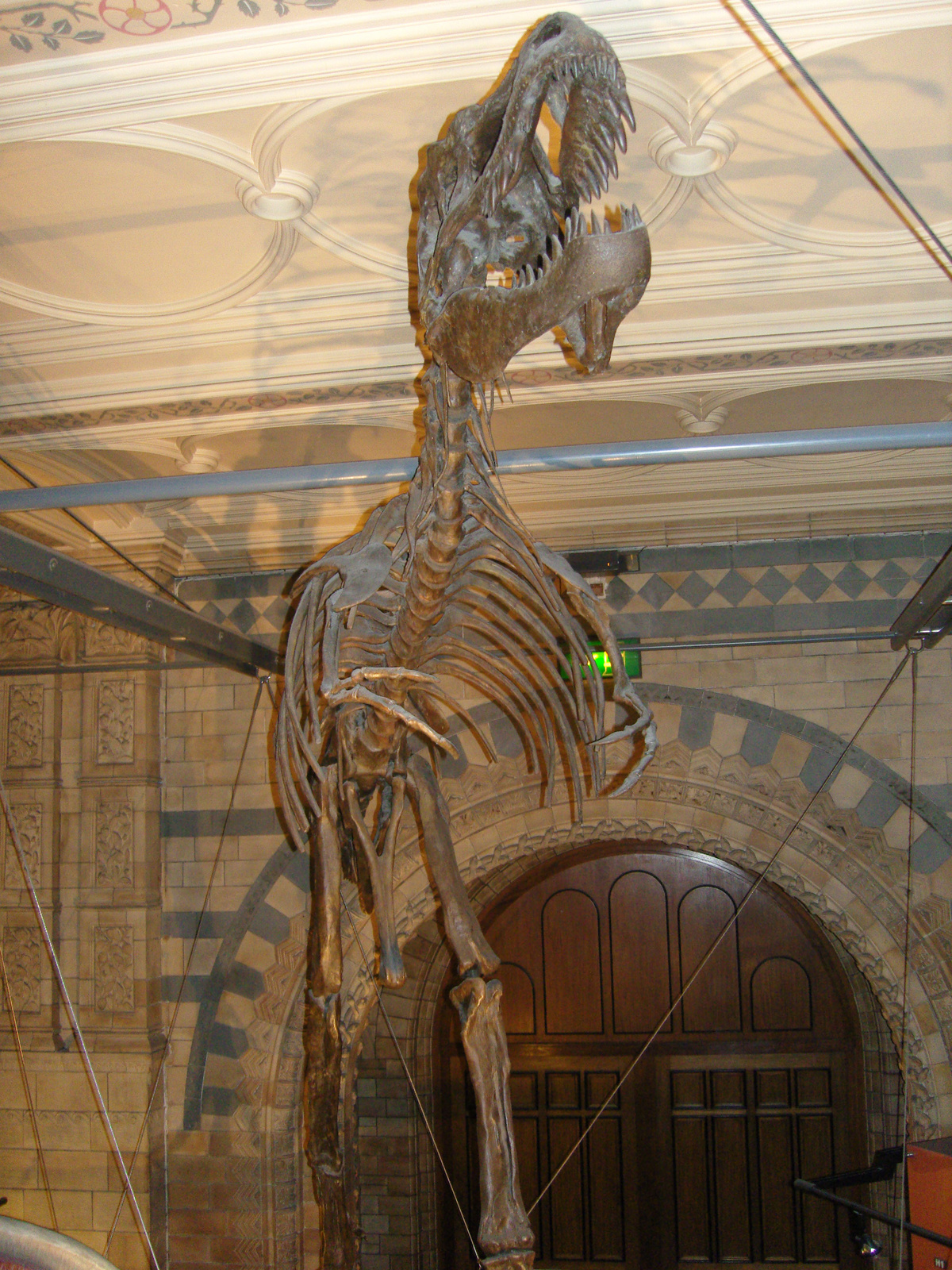 Natural History Museum