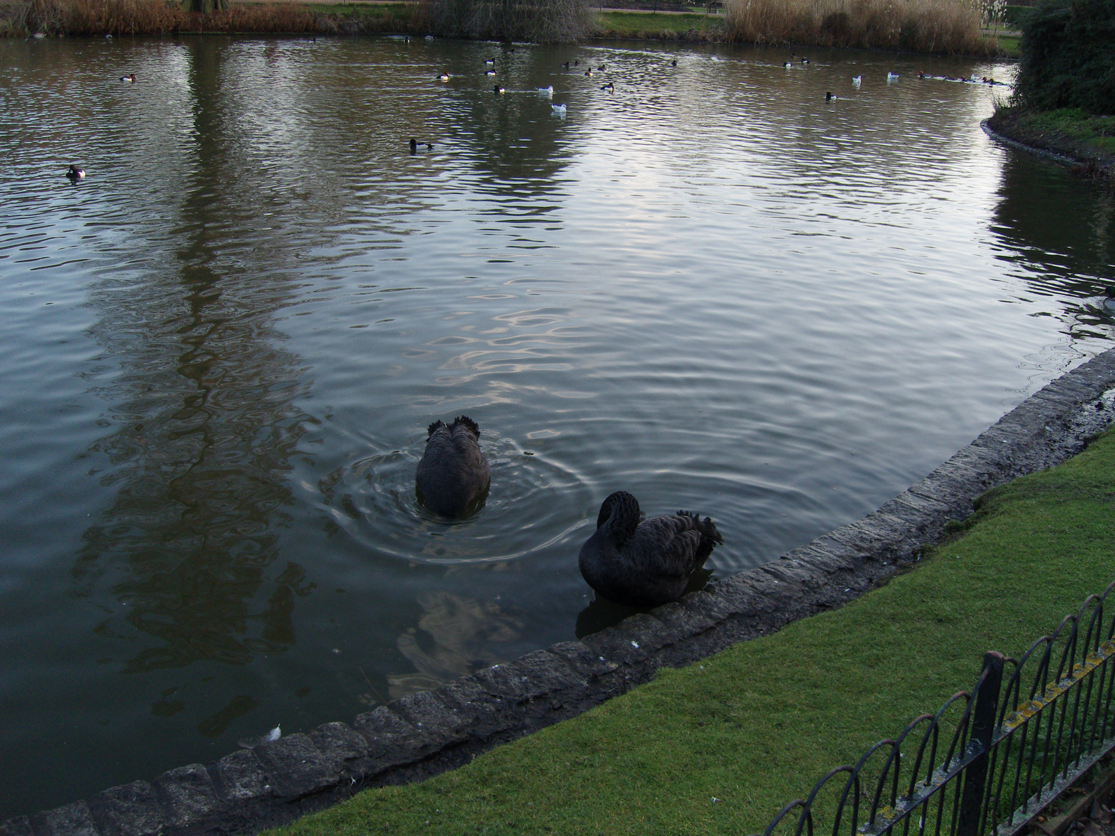 Regent's Park