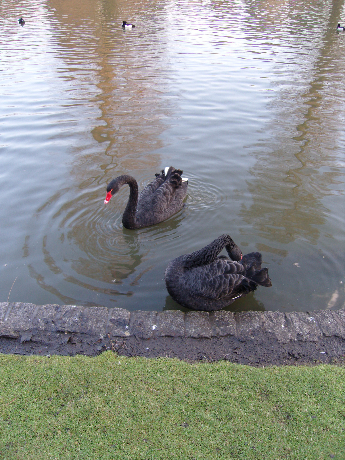 Regent's Park