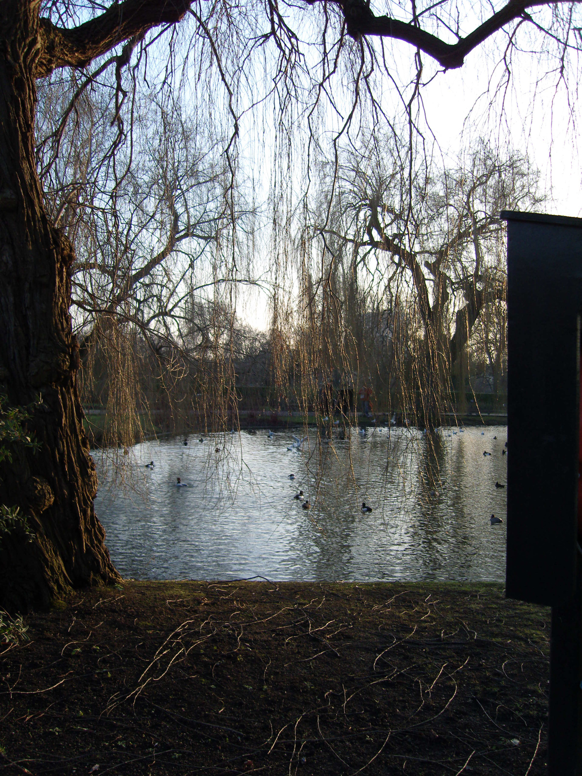 Regent's Park