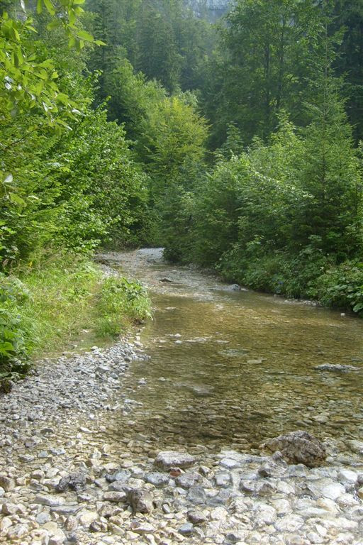 Szlovákia 2010 088