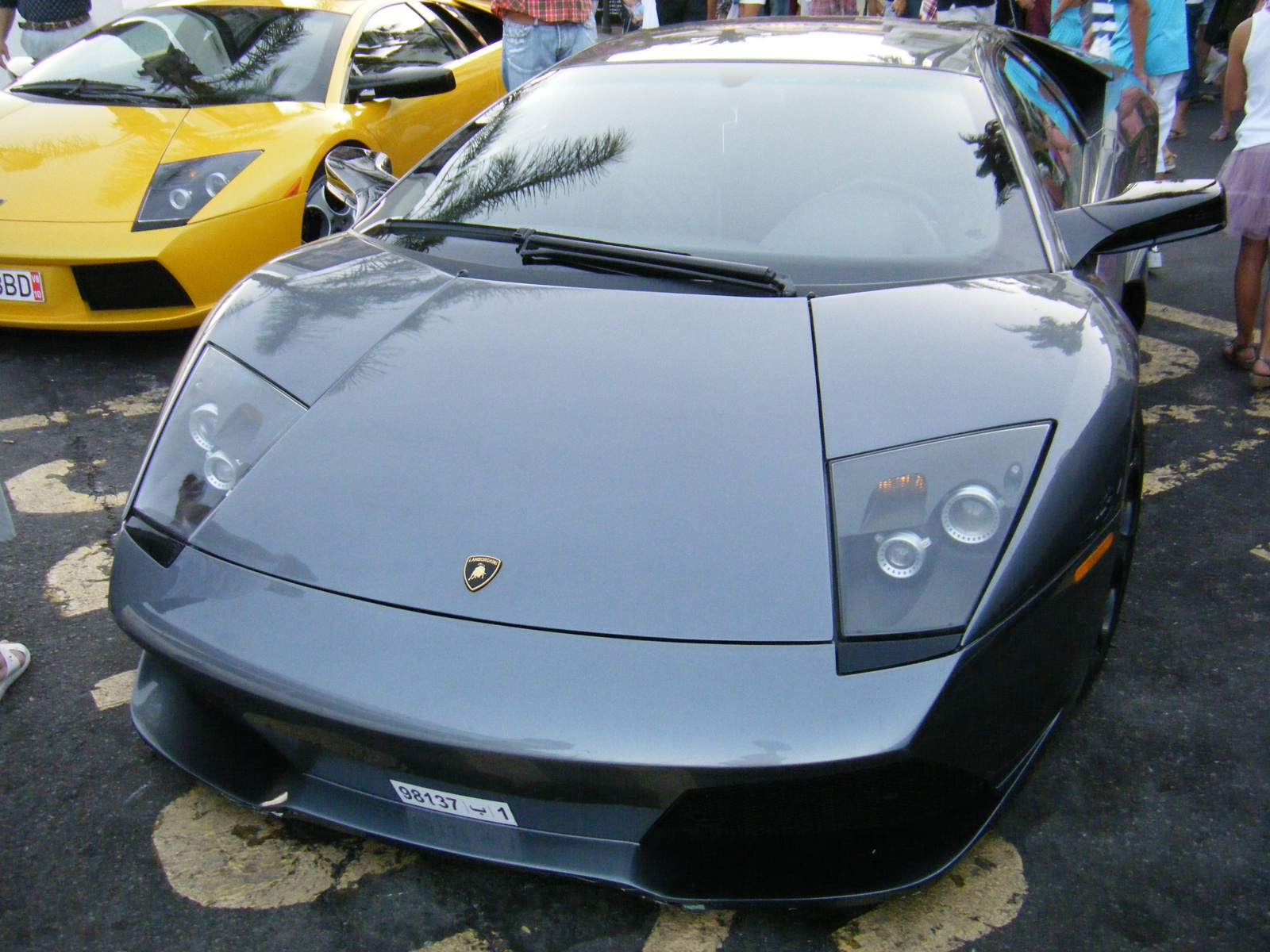 arab Lambo pálmás Lamboval