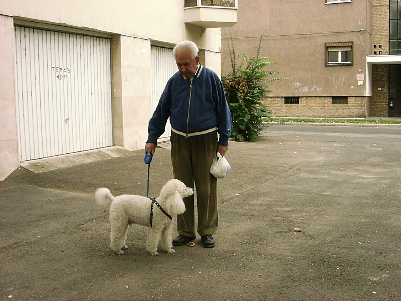 Kutya és gazdája a Béke téren 2007.10.11.16