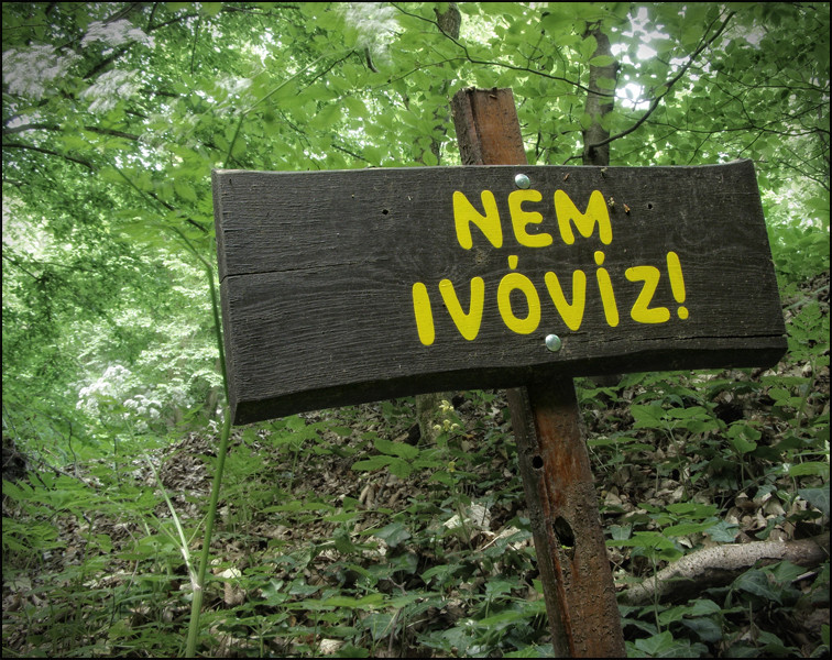 nem ivoviz-