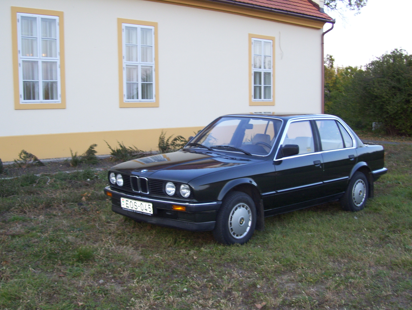 bmw 318 001