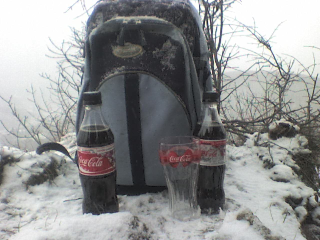 A Coca-Cola veled tart