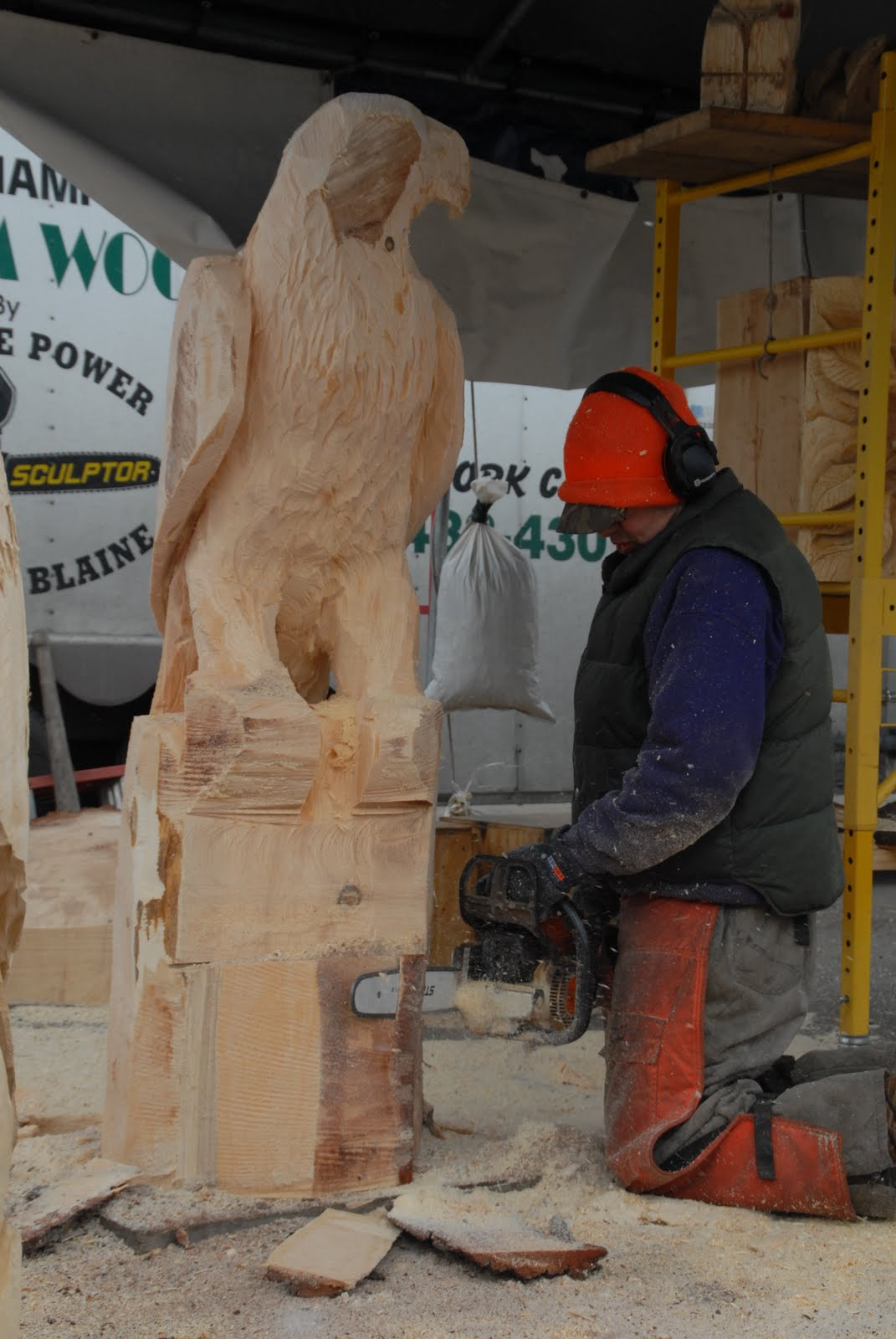 2011 02 Feb 20 Chainsaw Carving 033